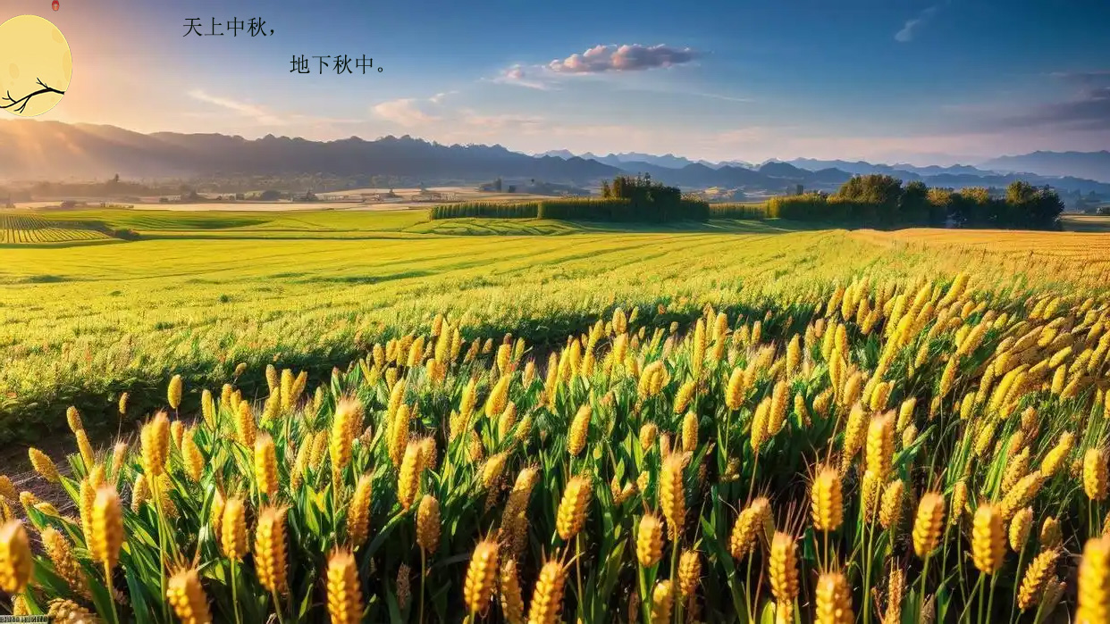 帖子图片